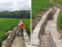 Gabungan LSM Sebut: Oplah Desa Sungai Langkap Kerinci Tak Tepat Sasaran & Pengerjaan Asal Jadi.